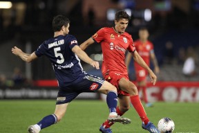 开云体育app-悉尼主场大胜东京，晋级希望重燃(日本传来噩耗损失惨重)